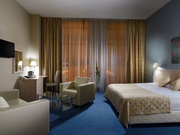 Фотография номера гостиницы Триумф Отель