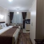 Студио (Двухместный номер-студио Делюкс с 1 кроватью), BeyazitHan Suites