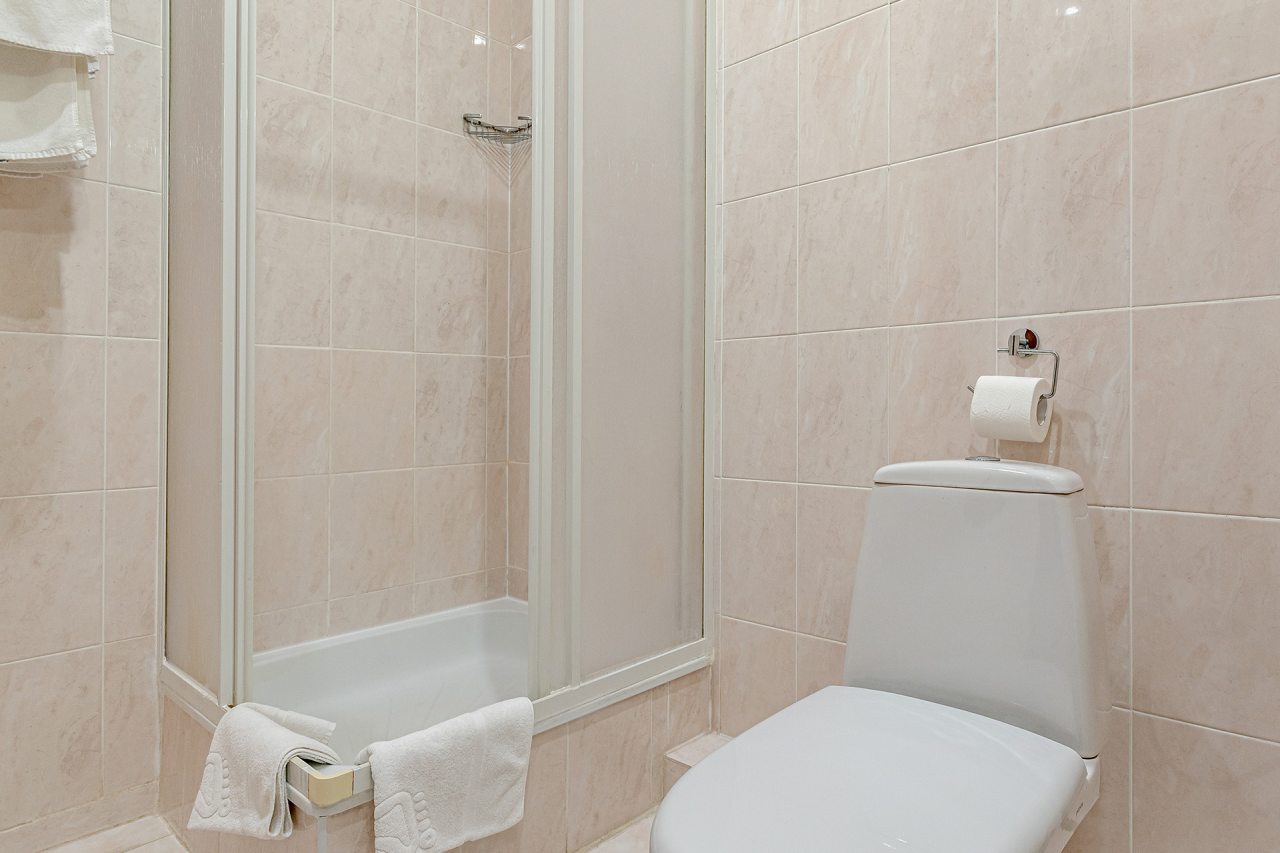 Двухместный (Стандарт без балкона), Отель Бристоль