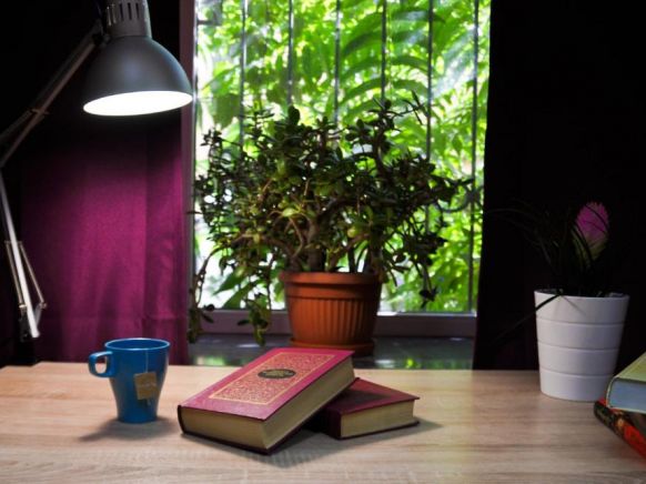 Фотография номера хостела Баба Валя