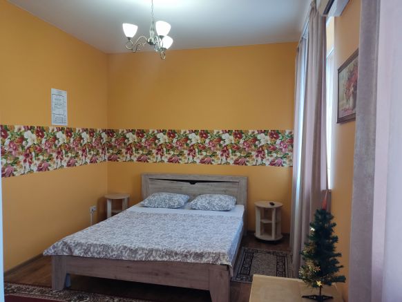 Фотография номера мини отеля Абрикос