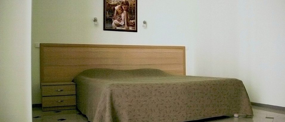 Двухместный (Комфорт, С 1 двуспальной кроватью) мини-гостиницы Сокол, Сочи