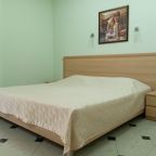 Двухместный (Комфорт, С 1 двуспальной кроватью), Мини-гостиница Сокол