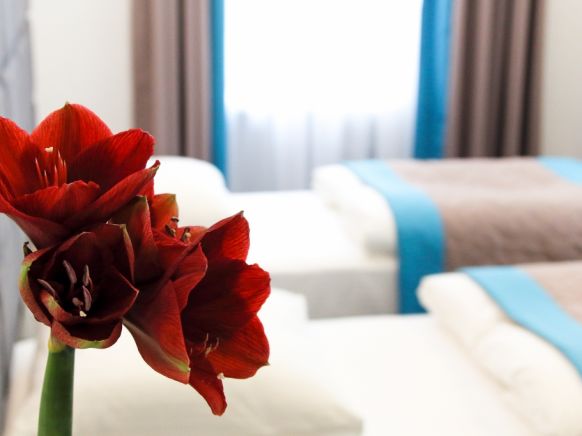 Фотография номера гостиницы Веллион Павелецкая 