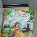 Люкс (Трех комнатный), Санаторий Кошкуль