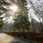 Объект находится в лесу, Санаторий Кошкуль