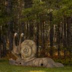 Объект находится в лесу, Санаторий Кошкуль