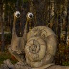 Своя ухоженная территория, Санаторий Кошкуль