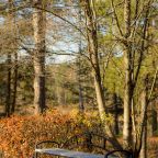 Тихое место, Санаторий Кошкуль