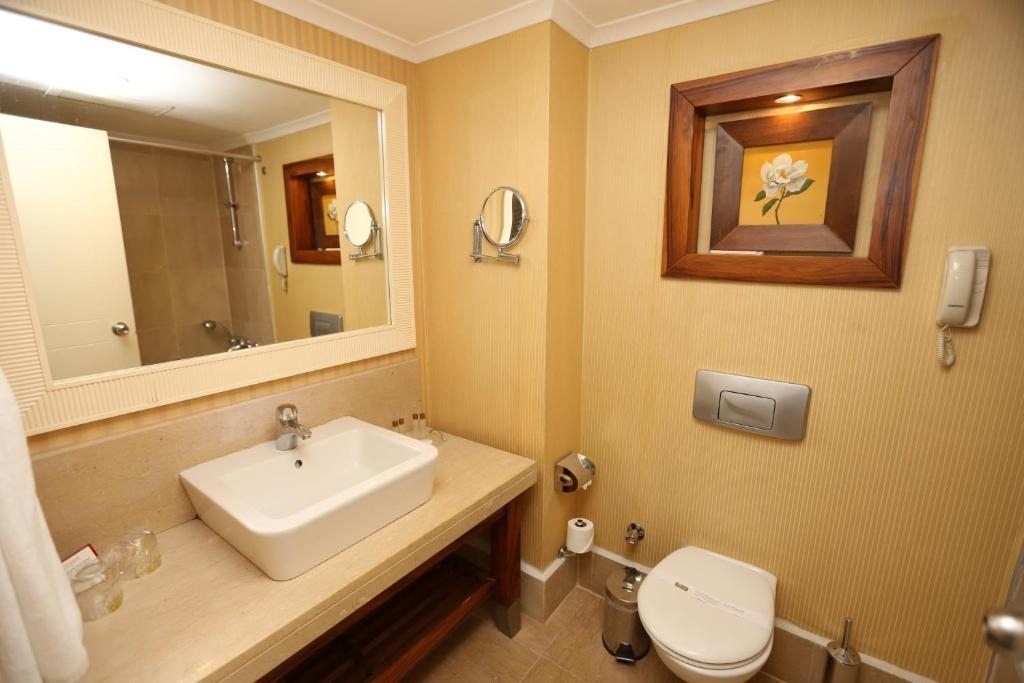 Двухместный (Стандартный двухместный номер с 1 кроватью или 2 отдельными кроватями) отеля Meder Resort Hotel, Кемер