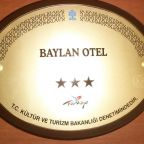 Двухместный (Двухместный номер с 1 кроватью и террасой), Hotel Baylan Basmane