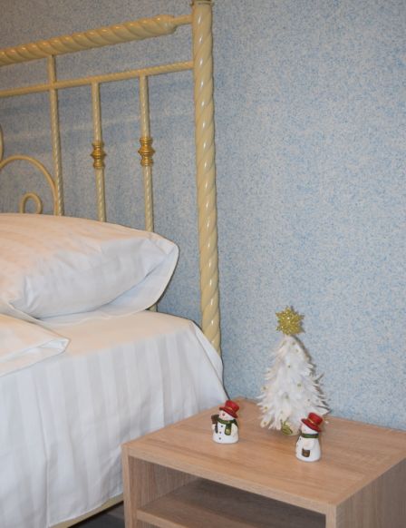 Фотография номера гостиницы Парк-отель Айсберг Угры