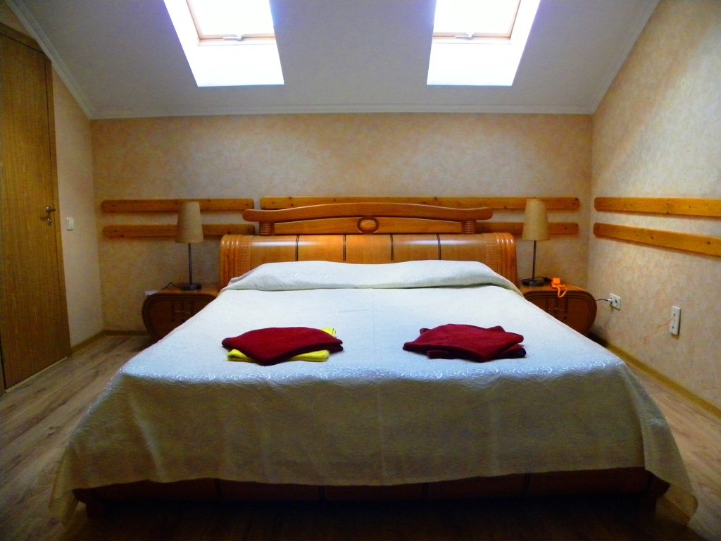 Люкс (с 1 двуспальной кроватью) хостела Юг, Сочи