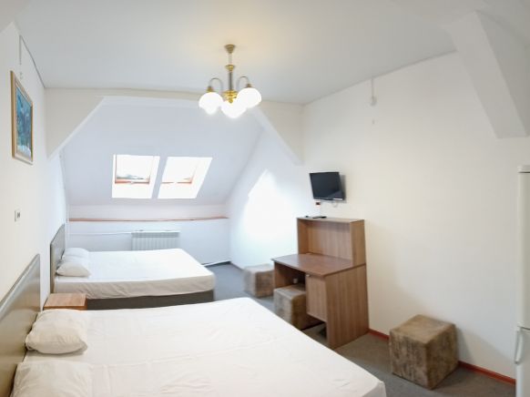 Фотография номера гостиницы Теремок