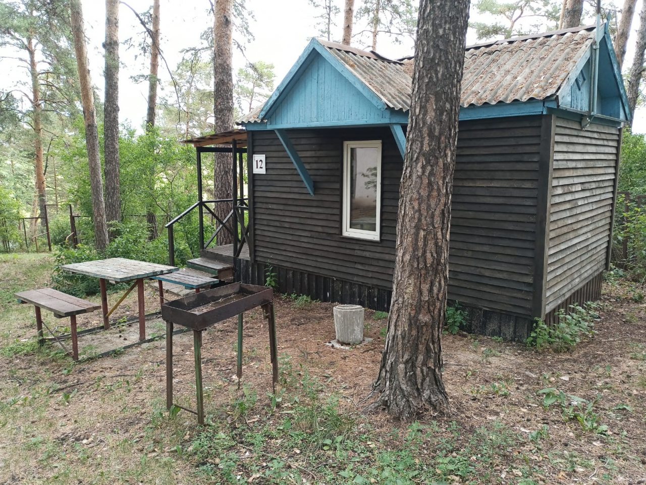 Дом (Летний домик 3х местный) базы отдыха Теремок, Южноуральск