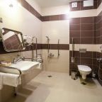 Одноместный (Для людей с ОВЗ), Гостиница BISHOTEL
