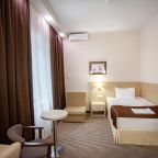 Одноместный (Для людей с ОВЗ), Гостиница BISHOTEL