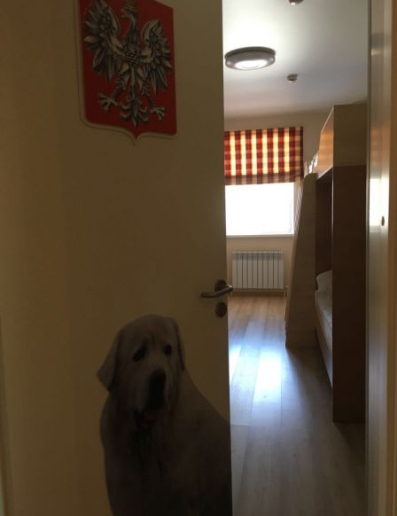 Туристический комплекс Вокзалъ Кострома Сырная