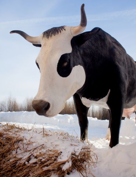 Туристический комплекс Вокзалъ Кострома Сырная