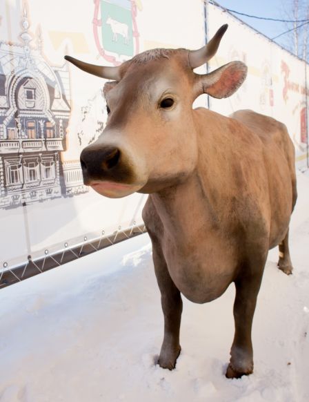 Туристический комплекс Вокзалъ Кострома Сырная