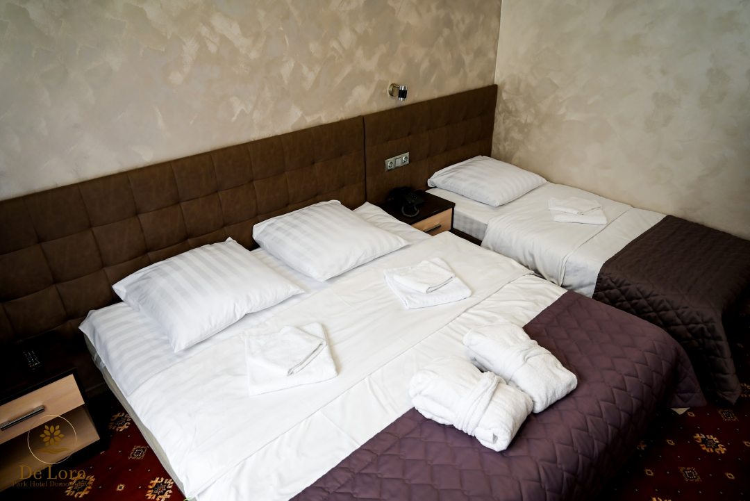 Трехместный (Трехместный комфорт) гостиницы Домодедово Парк Отель