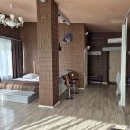 Апартаменты (Люкс 1), Домодедово Парк Отель