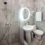 Двухместный (Стандарт с одной 2хспальной кроватью и диваном), Samsonov Hotels