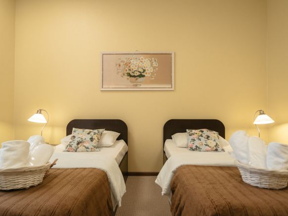 Фотография номера гостиницы Аэро-Отель