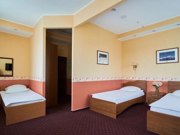 Фотография номера гостиницы Термы Плюс