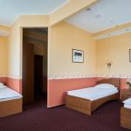 Трёхместный и более (Стандарт с тремя односпальными кроватями), Гостиница Термы Плюс