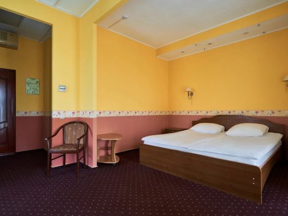 Фотография номера гостиницы Термы Плюс