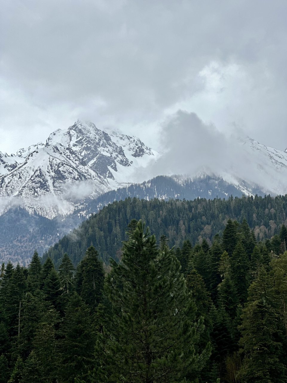 Четырехместный (Стандарт), База отдыха Архыз Палас