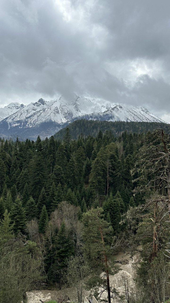 Пятиместный (Стандарт), База отдыха Архыз Палас