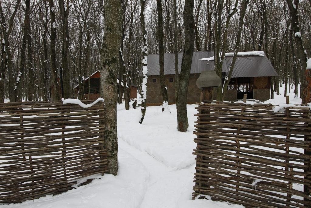 Номер (Дом с 2 спальнями), Отель Лесное Озеро