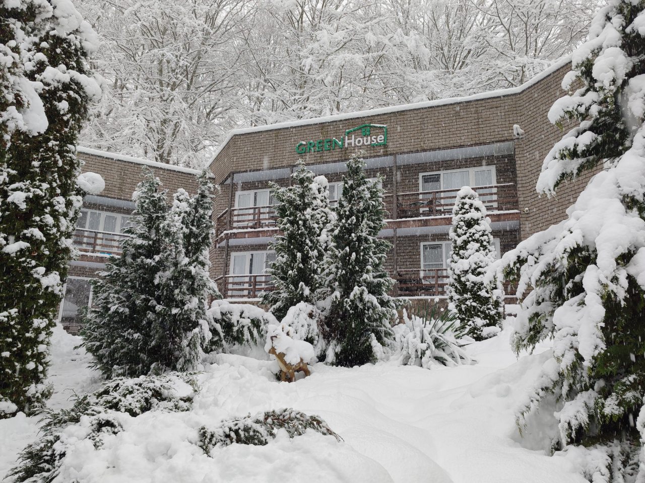 Территория. Зима.