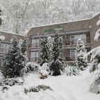 Территория. Зима.