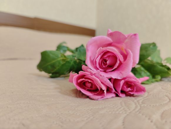 Фотография номера гостевого дома Семья