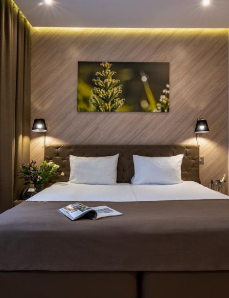 Фотография номера гостиницы Лесной Кантри Хаус