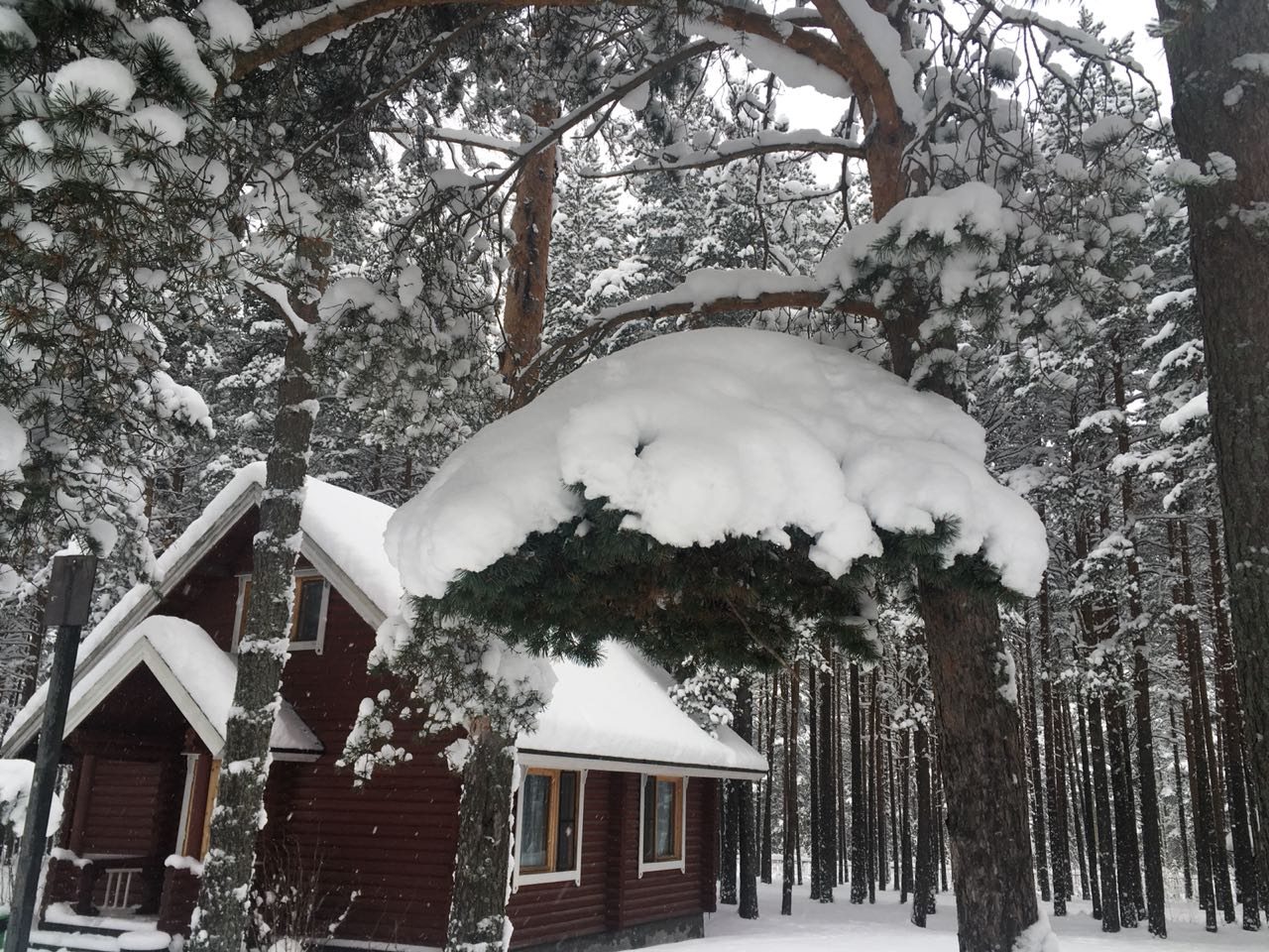 База отдыха Green Village, Лосево