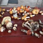 Пешие прогулки, База отдыха Green Village