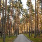 Пешие прогулки, База отдыха Green Village