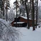 Четырехместный (Классический четырёхместный номер), В Сосновом бору