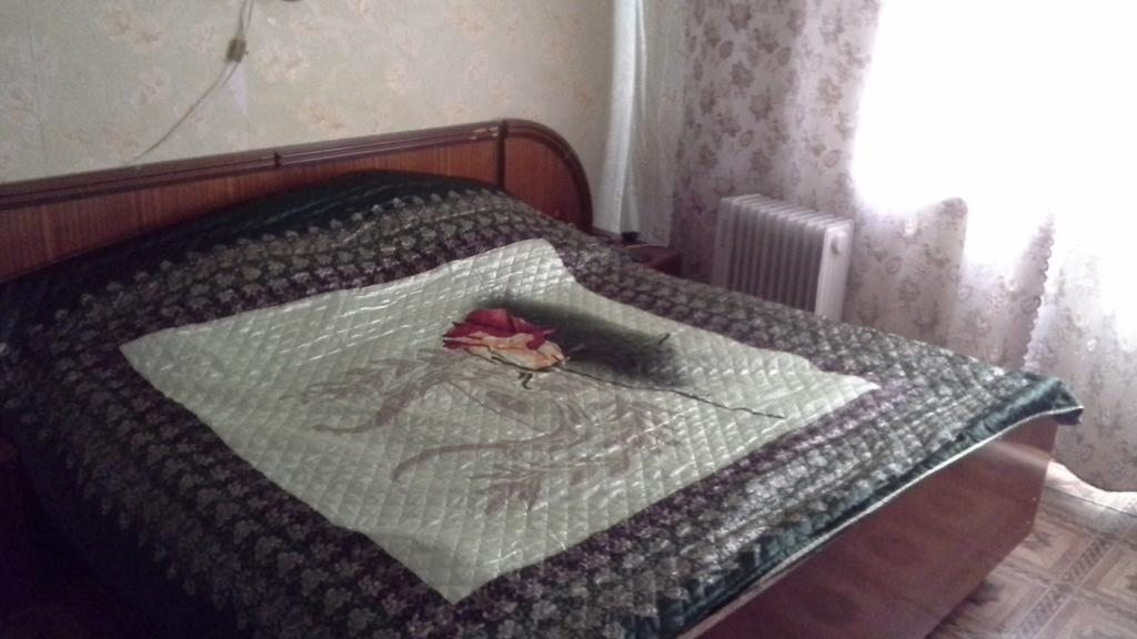 Двухместный (Бюджетный двухместный номер с 1 кроватью) гостевого дома На Молодежной 10, Плесецк