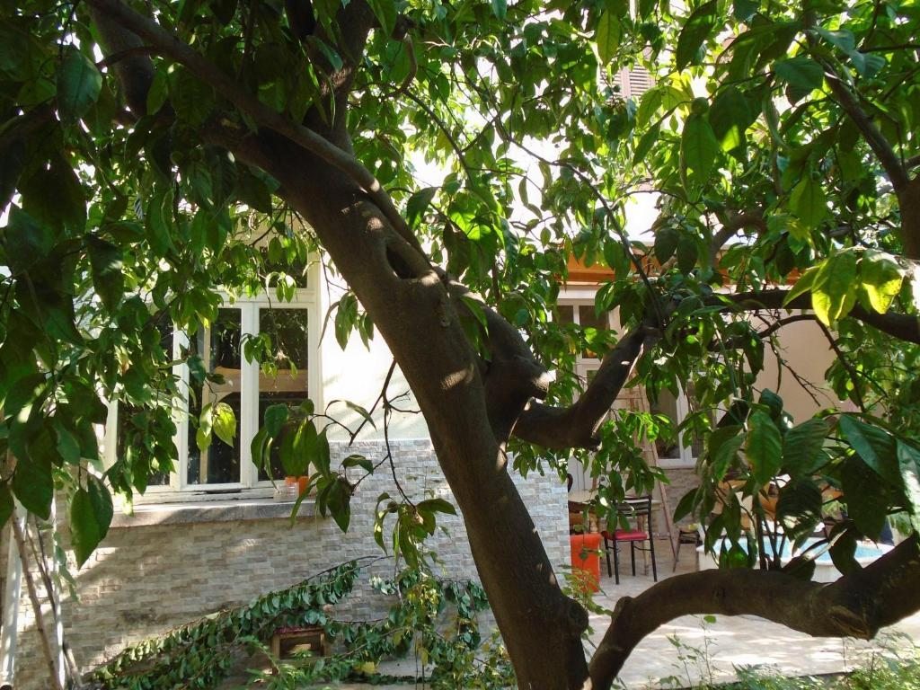 Номер (Кровать в общем 6-местном номере для мужчин и женщин) хостела Lotus Garden Hostel Izmir, Измир