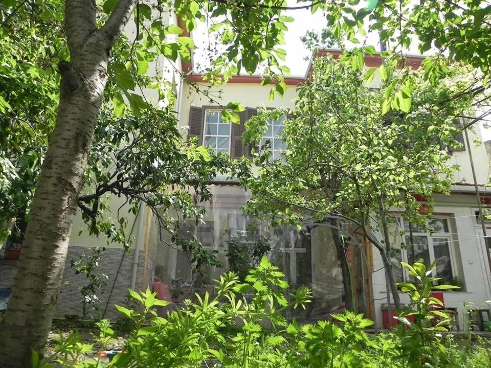 Двухместный (Двухместный номер с двуспальной кроватью и дополнительной кроватью) хостела Lotus Garden Hostel Izmir, Измир
