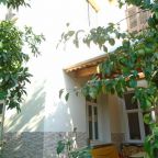 Двухместный (Двухместный номер Делюкс с 1 кроватью), Lotus Garden Hostel Izmir