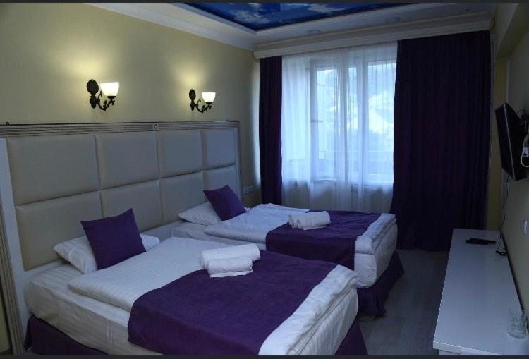 Двухместный (Двухместный номер с 2 отдельными кроватями и балконом) отеля Горис