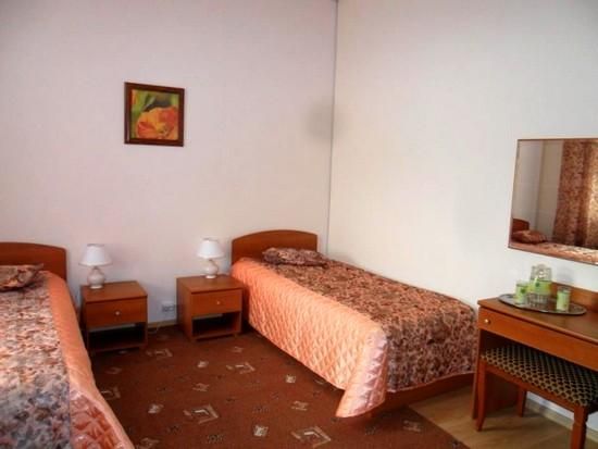 Фотография номера гостиницы Орион