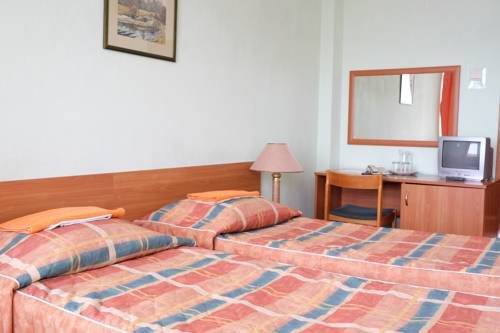 Двухместный (Улучшенный двухместный номер с 2 отдельными кроватями и видом на город) санатория Пущино