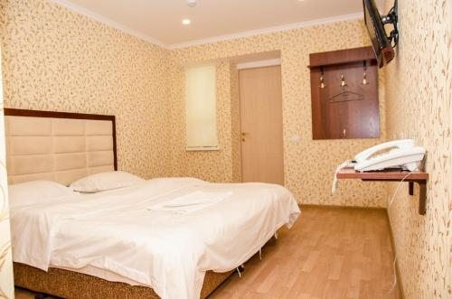 Двухместный (Бюджетный двухместный номер с 1 кроватью) отеля Инжу на Бараева 9, Астана